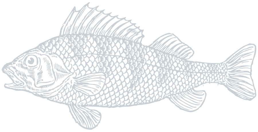 Searock Grill – fish graphic